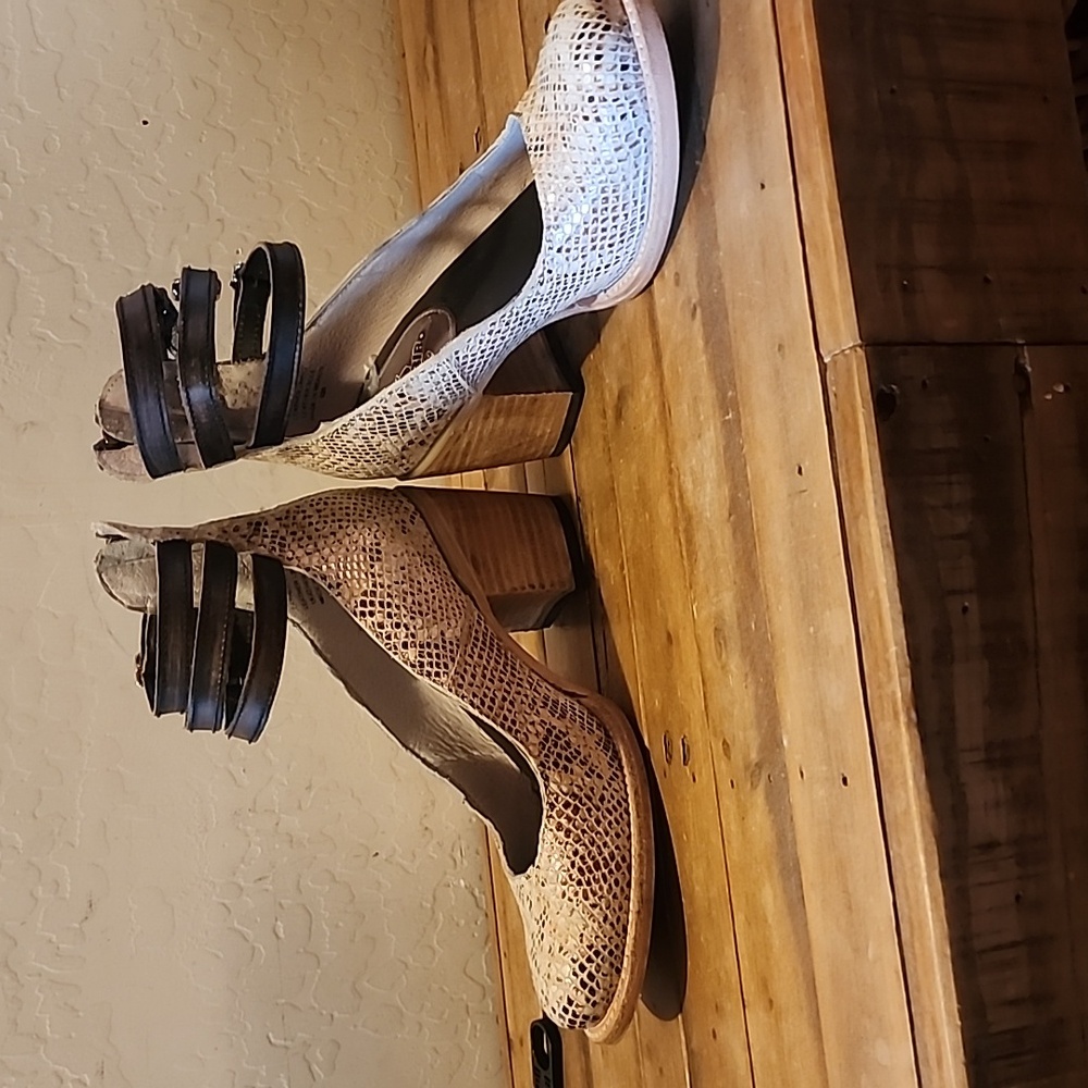 Freebird by Steven Cream Snakeskin Heels with Brown Accents - Picture 7 of 7